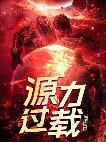 源力过载 源力过载